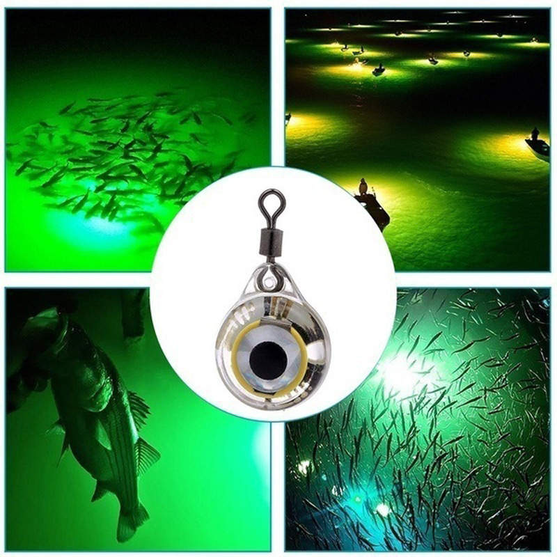 FLYSAND ไฟตกปลา Night เรืองแสง - Fishing Lure Accessories บทวิจารณ์และราคา